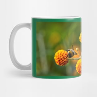 Busy bee on buddleia Mug